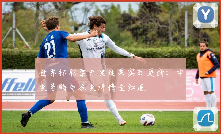 世界杯彩票开奖结果实时更新：中奖号码与派奖详情全知道