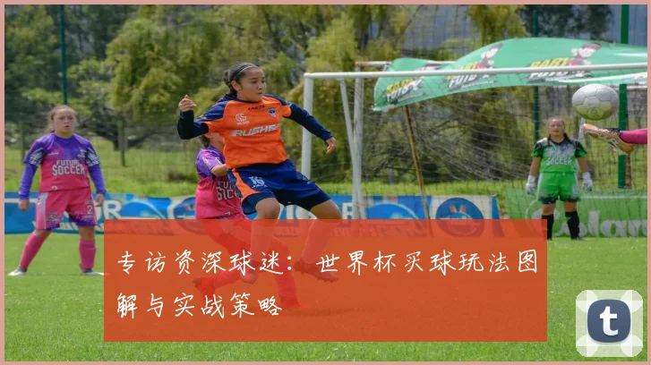 专访资深球迷:世界杯买球玩法图解与实战策略