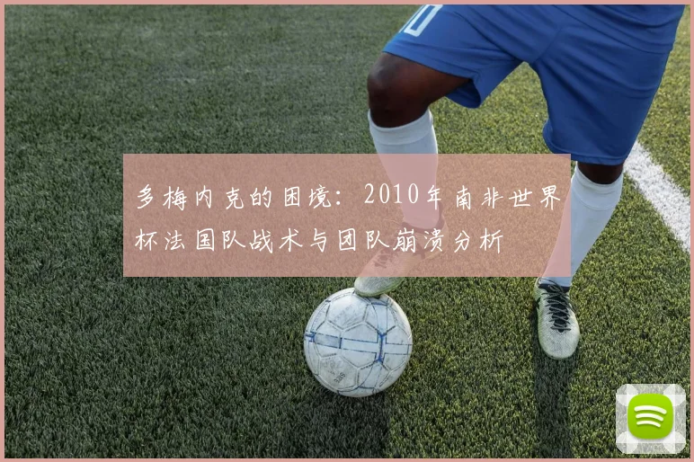 多梅内克的困境：2010年南非世界杯法国队战术与团队崩溃分析