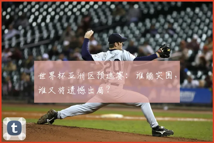 世界杯亚洲区预选赛：谁能突围，谁又将遗憾出局？
