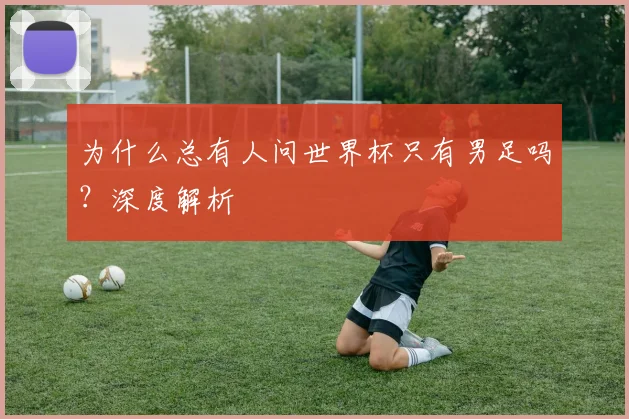 为什么总有人问世界杯只有男足吗？深度解析