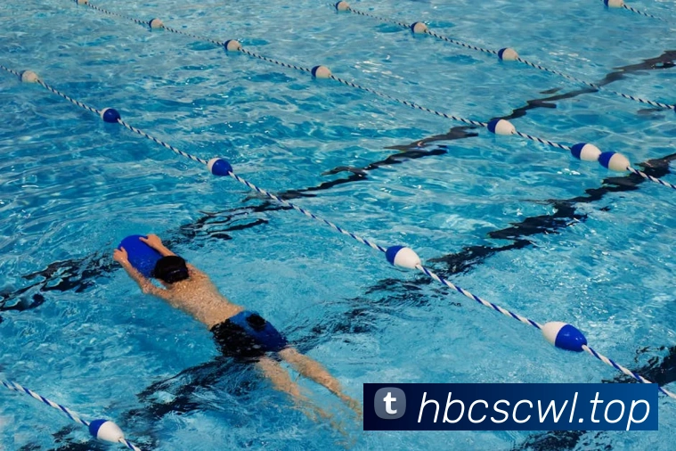 乐竞体育网站首页平台生态图